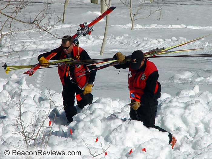 Choosing an Avalanche Probe